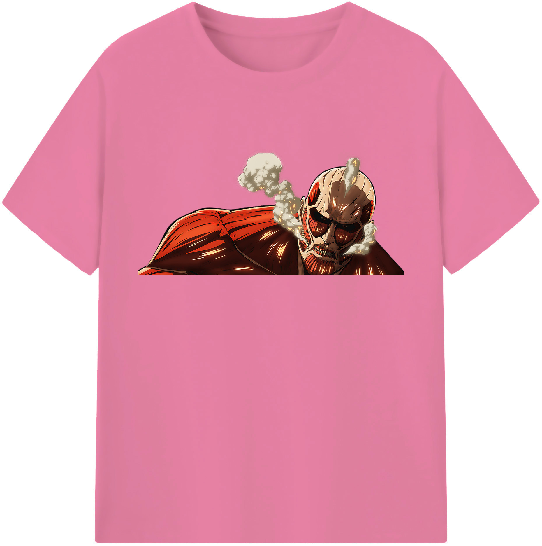 （画像用） 進撃の巨人 Attack on Titan 綿100％半袖Tシャツ（フロントプリント）